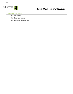MS Cell Functions