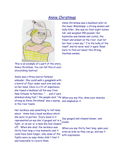 Annie Christmas - PortfolioECOMP6106