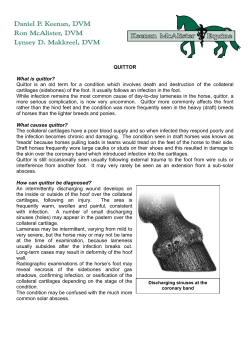 QUITTOR What is quittor? Quittor is an old term for a condition which