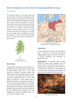 Meaning of the Briese Name - Gang