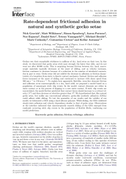 Full Text  - Journal of The Royal Society Interface