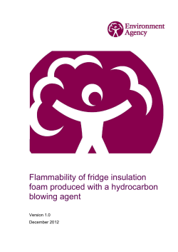 Flammability of fridge insulation foam produced with a hydrocarbon