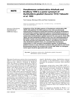Pseudomonas antimicrobica Attafuah and Bradbury 1990 is a junior