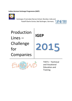 Production Lines &ndash; Challenge for Companies