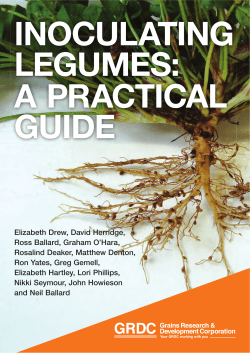 Inoculating Legumes: A practical guide