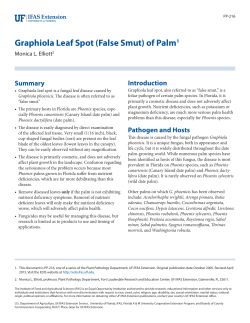 Graphiola Leaf Spot (False Smut) of Palm1 - EDIS