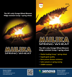 Mulika Variety Card - Quantil Agriculture