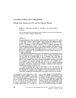 CYANOBACTERIAL PHYCOBILISOMES Particles
