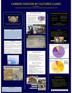 carbon fixation by cultured clams - Florida Shellfish Aquaculture