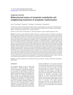 Mesenchymal status of lymphatic endothelial cell: enlightening