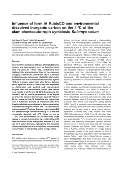 Influence of form IA RubisCO and environmental dissolved inorganic