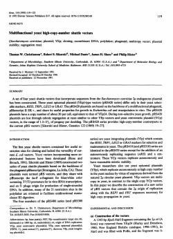 Multifunctional yeast high-copy-number shuttle