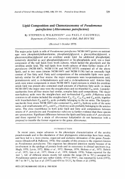 Lipid Composition and Chemotaxonomy of
