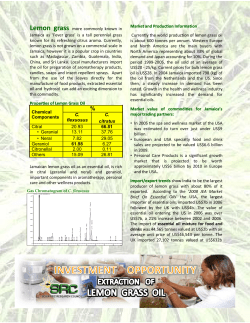 Lemon grass more commonly known in Jamaica as `Fever grass` is a