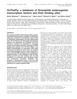 OnTheFly: a database of Drosophila melanogaster transcription