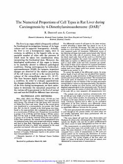 The Numerical Proportions of Cell Types in Rat