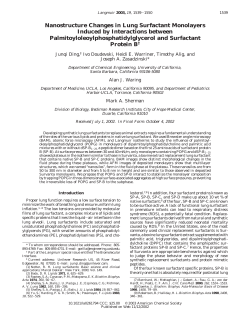 Nanostructure Changes in Lung Surfactant Monolayers Induced by