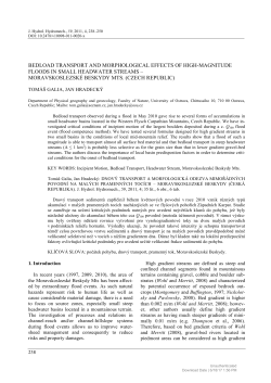 BEDLOAD TRANSPORT AND MORPHOLOGICAL EFFECTS OF