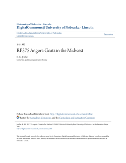 RP375 Angora Goats in the Midwest