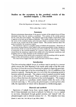 Studies on the receptors in the cerebral vesicle of the ascidian