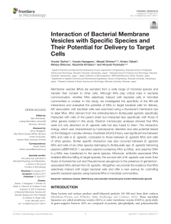 Interaction of Bacterial Membrane Vesicles with Specific Species
