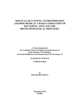 molecular cloning, overexpression and