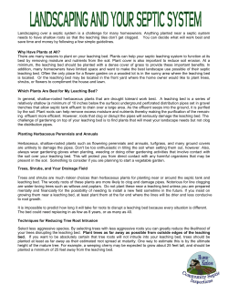 Landscaping Your Septic System - Huron