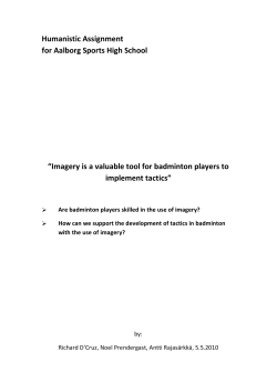Humanistic Assignment for Aalborg Sports High School &ldquo;Imagery is