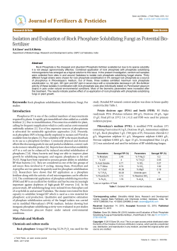 Isolation and Evaluation of Rock Phosphate Solubilizing Fungi as