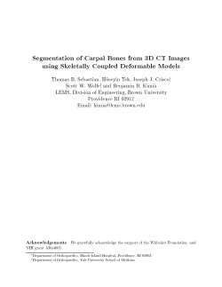 Segmentation of Carpal Bones from 3D CT Images using Skeletally