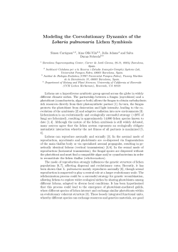 Modeling the Coevolutionary Dynamics of the Lobaria