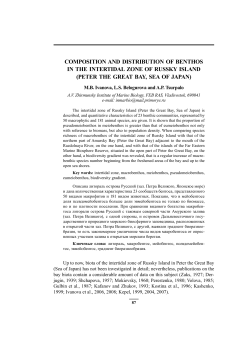 composition and distribution of benthos in the intertidal zone of