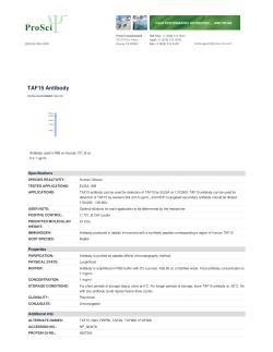 TAF15 Antibody
