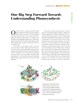 177 One Big Step Forward Towards Understanding Photosynthesis