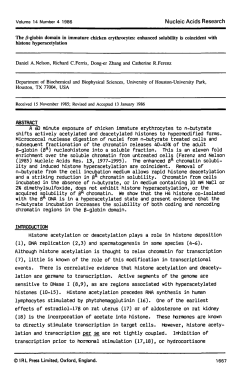 The &beta;-globin domain in immature chicken erythrocytes: enhanced