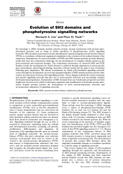 Evolution of SH2 domains and phosphotyrosine signalling networks