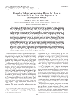 Control of Inducer Accumulation Plays a Key Role in Succinate