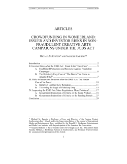 issuer and investor risks in non