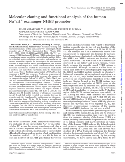 Print - American Journal of Physiology