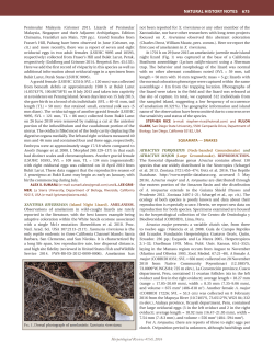 natural history notes 675