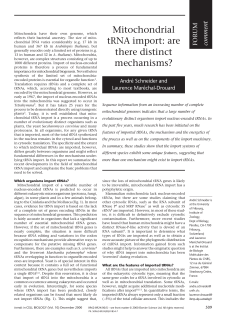 Mitochondrial tRNA import: are there distinct mechanisms?