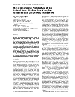 Three-Dimensional Architecture of the Isolated Yeast Nuclear Pore