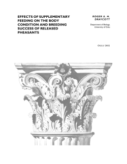 Fulltext - Jultika