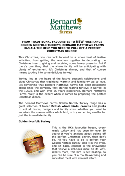 Oct - Bernard Matthews Christmas Products