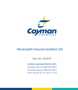 Neutrophil (mouse) Isolation Kit