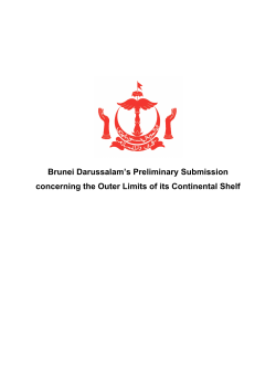 Brunei Darussalam`s Preliminary Submission concerning the Outer