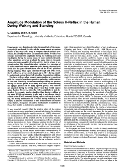 Amplitude Modulation of the Soleus H