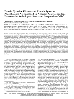 Protein Tyrosine Kinases and Protein Tyrosine Phosphatases Are