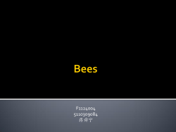 F1124004 5110309084 蒋舜宁