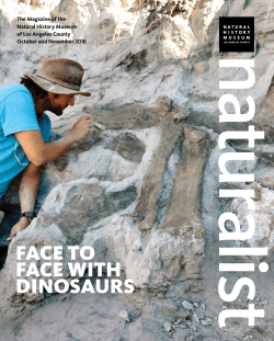 face to face with dinosaurs - Natural History Museum of Los Angeles